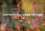 共有产权房可以卖吗：法律视角下的产权流转分析