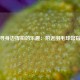 探寻身边挥拍的乐趣：附近羽毛球馆指南