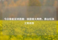 今日鲁能足球直播：绿茵烽火再燃，泰山压顶之势待发