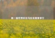 第一届世界杯在乌拉圭隆重举行