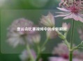 奥运会比赛视频中的永恒瞬间