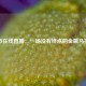 股市在线直播：一场没有终点的金融马拉松