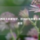  德国四球大胜葡萄牙，欧洲杯小组赛上演进球盛宴