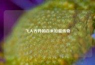 飞人乔丹的百米扣篮传奇