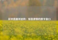 足球直播球迷网：绿茵激情的数字窗口