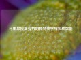 马里昂投篮姿势的独特美学与实战效能
