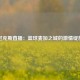 尼克斯直播：篮球麦加之城的激情绽放