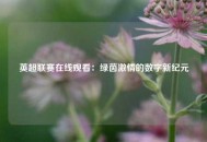 英超联赛在线观看：绿茵激情的数字新纪元