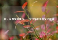 玖，从数字到美玉，一个汉字的多重文化意蕴