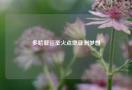 多哈亚运圣火点燃亚洲梦想