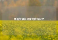 鲁能亚冠征途中的挫折记忆