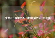 完整比分直播现场：绿茵激战的每一刻呼吸