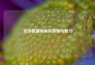 足球直播现场的激情与魅力