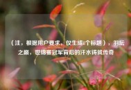 （注，根据用户要求，仅生成1个标题），羽坛之巅，世锦赛冠军背后的汗水铸就传奇