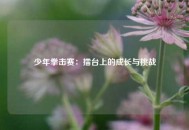 少年拳击赛：擂台上的成长与挑战