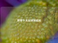 世界十大足球场巡礼