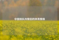 中国排队内情侣的体育情缘