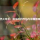 热火球衣：南海岸的烈焰与荣耀图腾