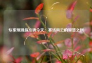 专家预测最准确今天：赛场风云的智慧之眼