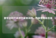 数字化时代高效档案查询网，档案管理新选择
