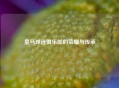 皇马球迷俱乐部的荣耀与传承