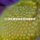 LPL季后赛晋级机制深度解析