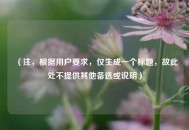 （注，根据用户要求，仅生成一个标题，故此处不提供其他备选或说明）