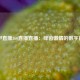 意甲直播360直播直播：绿茵激情的数字窗口