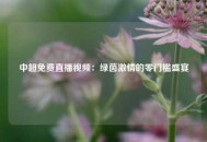 中超免费直播视频：绿茵激情的零门槛盛宴