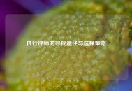 执行律师的寻找途径与选择策略