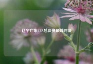 辽宁广东CBA总决赛巅峰对决