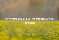 为什么俄罗斯运动员以“俄罗斯奥林匹克队”名义参赛