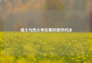骑士与热火季后赛的激烈对决