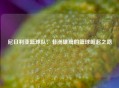 尼日利亚篮球队：非洲雄鹰的篮球崛起之路