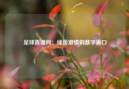 足球直播网：绿茵激情的数字窗口