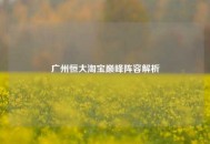 广州恒大淘宝巅峰阵容解析
