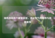 绿色科技助力健康家居，净化空气的植物与装置推荐
