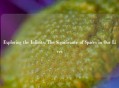 Exploring the Infinite: The Significance of Spaces in Our Lives