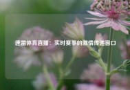 速雷体育直播：实时赛事的激情传递窗口