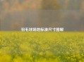 羽毛球场地标准尺寸图解