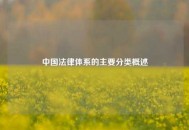 中国法律体系的主要分类概述
