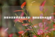 探索体育赛事直播新天地：哪里能看央视直播