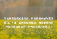 手机开发者模式全指南，解锁隐藏功能与高效技巧，（注，若需调整侧重点，例如更偏向实用技巧或风险提示，可告知具体方向优化）