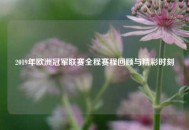 2019年欧洲冠军联赛全程赛程回顾与精彩时刻