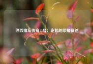 巴西排坛传奇13号：谢拉的荣耀征途