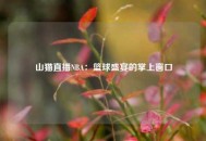 山猫直播NBA：篮球盛宴的掌上窗口