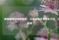 美国橄榄球规则解析：从基础到战术的全方位指南