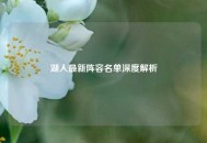 湖人最新阵容名单深度解析