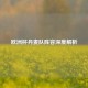 欧洲杯丹麦队阵容深度解析