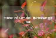 小狗拉肚子怎么办？原因、症状及家庭护理全指南